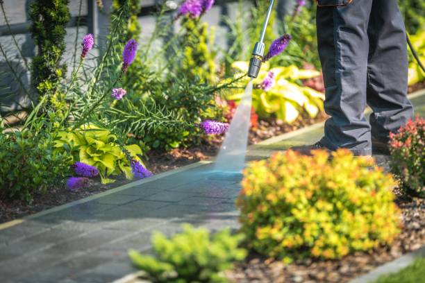Best Animal Enclosure Cleaning  in Stewart Manor, NY