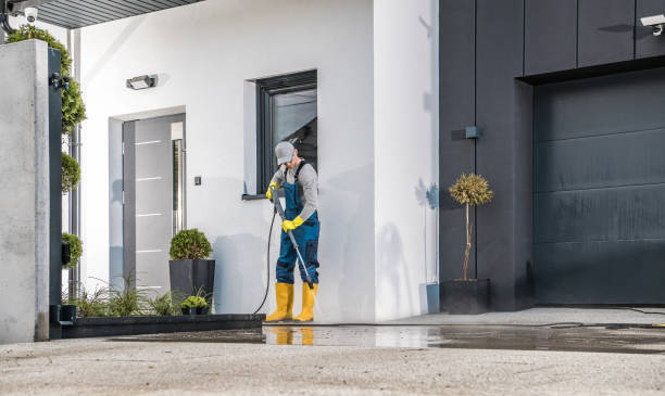 Best Gutter Cleaning  in Stewart Manor, NY